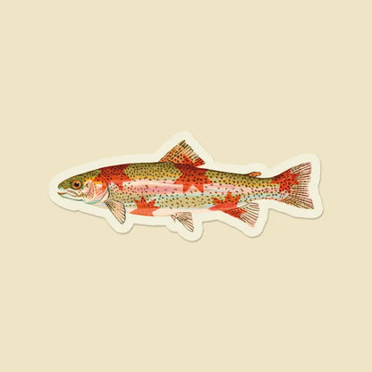 Artbaby & Co. - Rainbow Trout Starry Fish Sticker