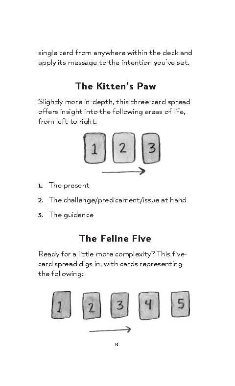 Kitten Oracle