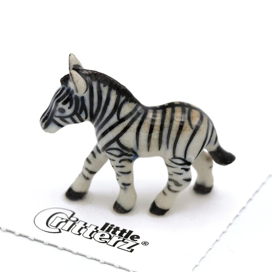 Zamia Zebra Porcelain Miniature