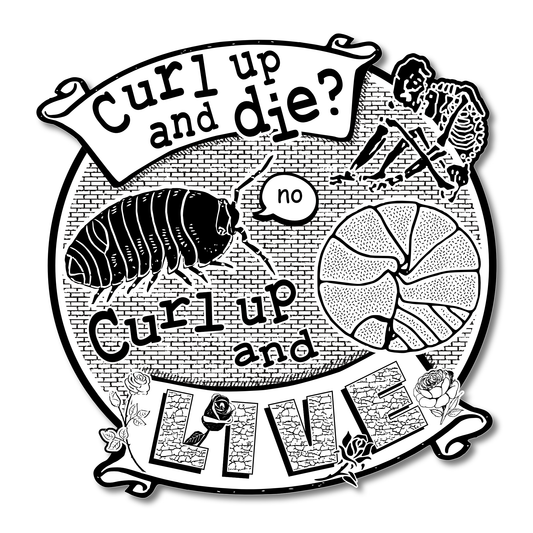 Circular vinyl sticker on a brick background showing an isopod, a skeleton, and a croissant, with text reading "Curl up and die? No. Curl up and live."