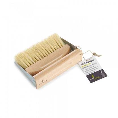 Mini Dustpan Set