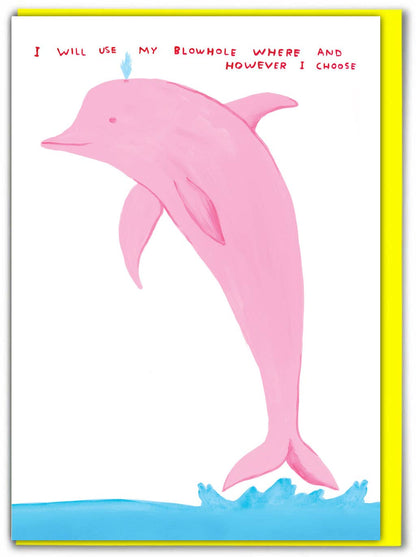 David Shrigley illustration of a pink dolphin leaping with the caption "I will use my blowhole where and however I choose" - PABOOM