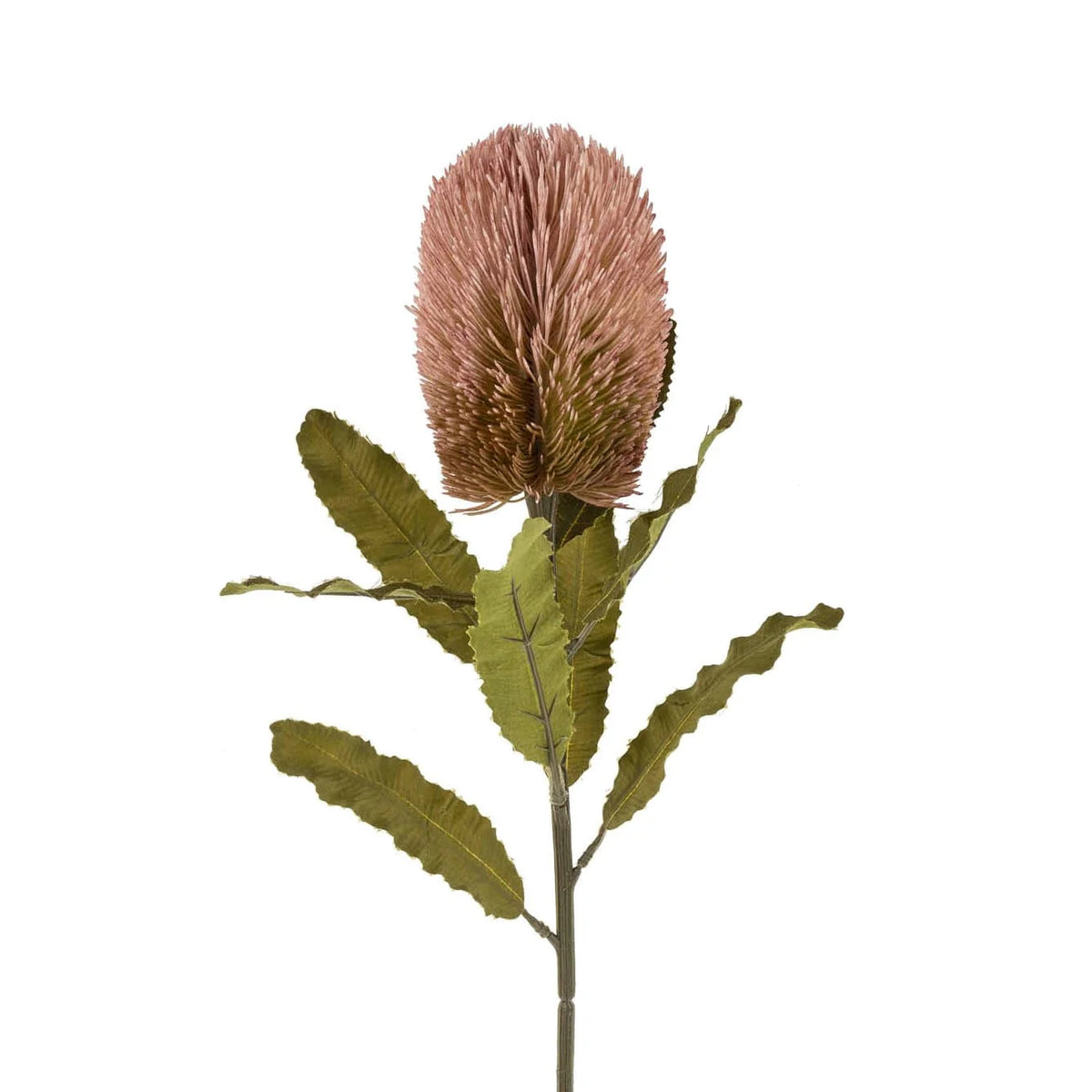 Faux dusty pink banksia flower with green leaves on a long stem - PABOOM