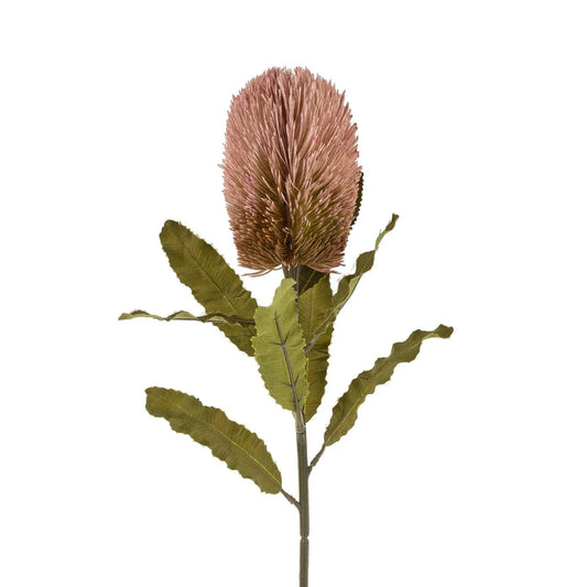 Faux dusty pink banksia flower with green leaves on a long stem - PABOOM