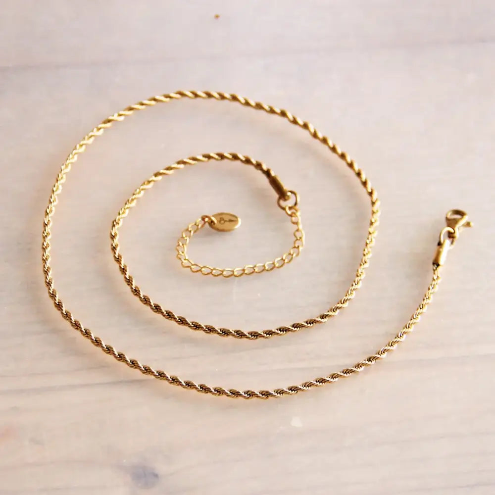 Fine Twisted Gold Necklace - PABOOM
