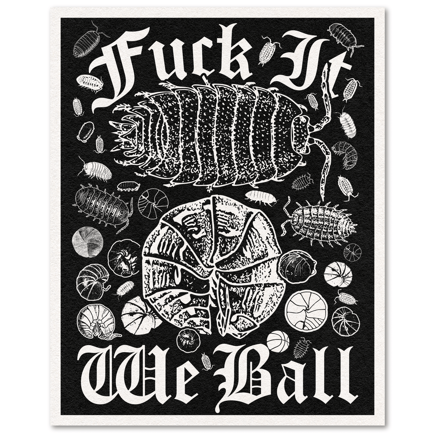 Black-and-white print on cream paper reading "Fuck It, We Ball," with a large curled isopod and basketball-shaped isopods scattered around it.