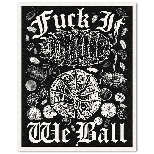 Black-and-white print on cream paper reading "Fuck It, We Ball," with a large curled isopod and basketball-shaped isopods scattered around it.