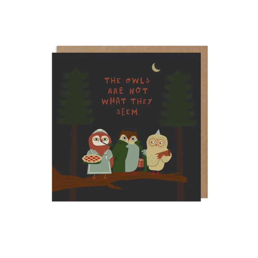 Betiobca - The Owls Are Not What They Seem Card Bio Cello