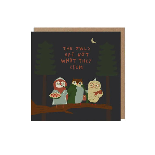 Betiobca - The Owls Are Not What They Seem Card Bio Cello