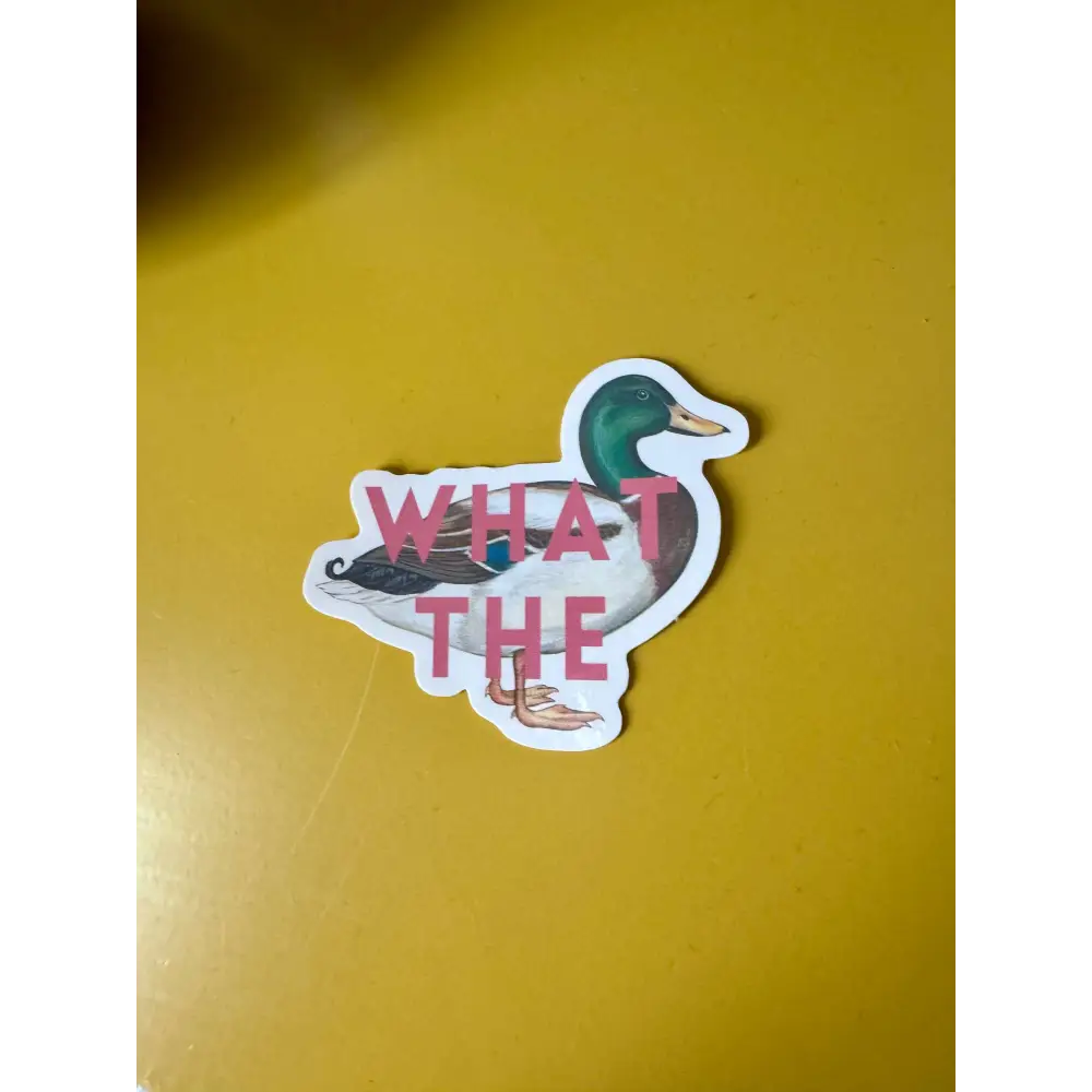 What the duck sticker - PABOOM