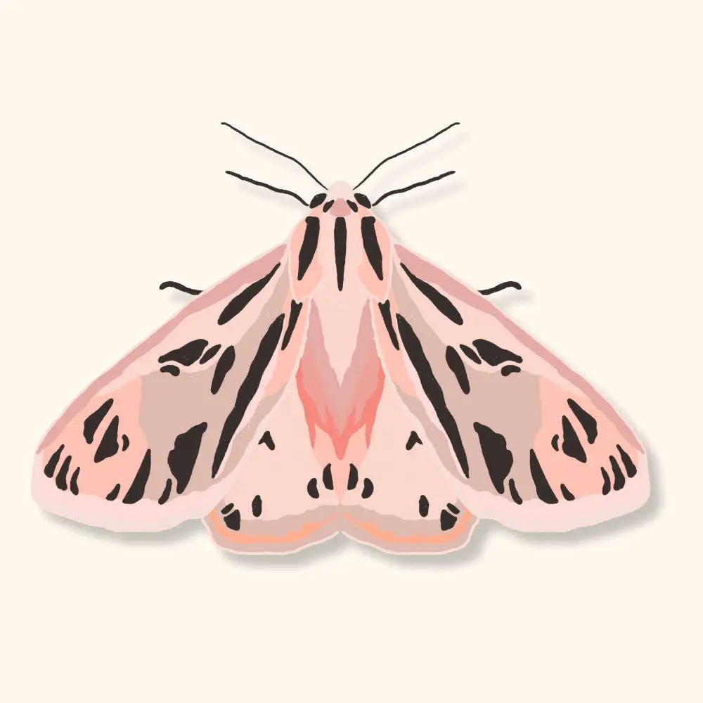 Brush + Bird Paper Co. - Pink Tiger Moth Sticker | Bug Lover Vinyl White