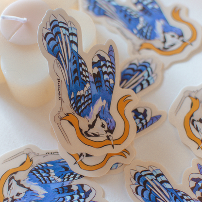 Blue Jay Sticker