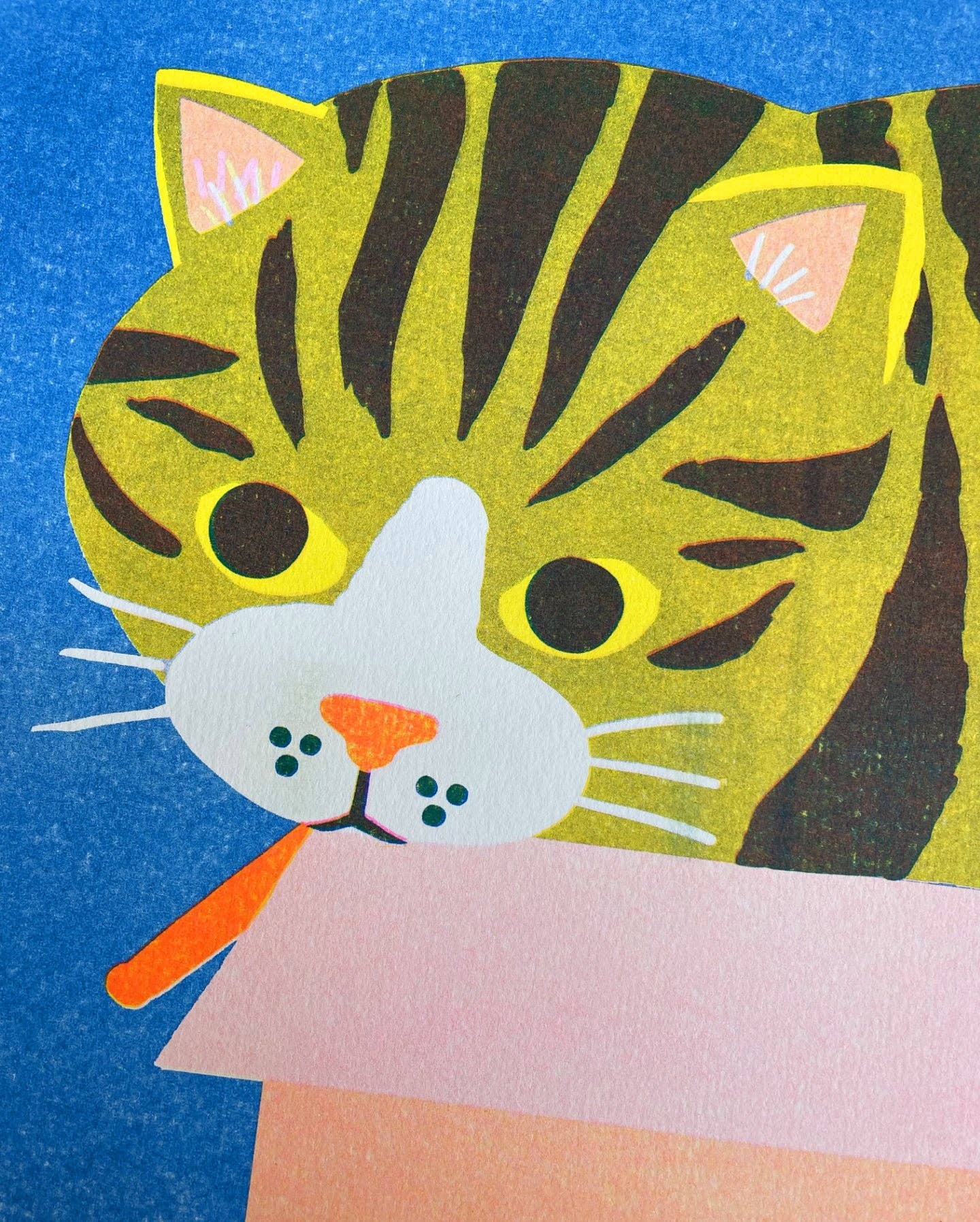 Cat in a Box risograph print shown unframed - PABOOM