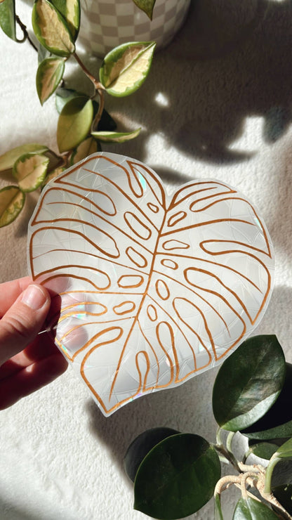 Monstera Leaf Suncatcher Sticker | Window Cling | Plant Gift