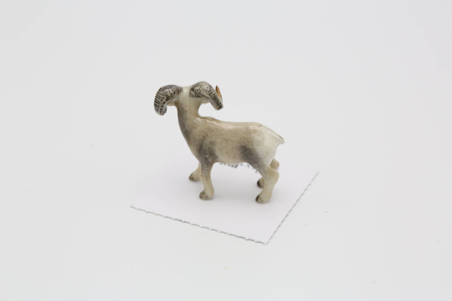 Clash Bighorn Sheep Porcelain Miniature