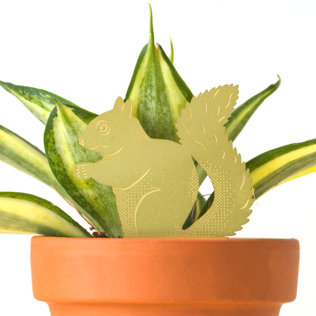 Plant Animal - Squirrel, Woodland Ornament
