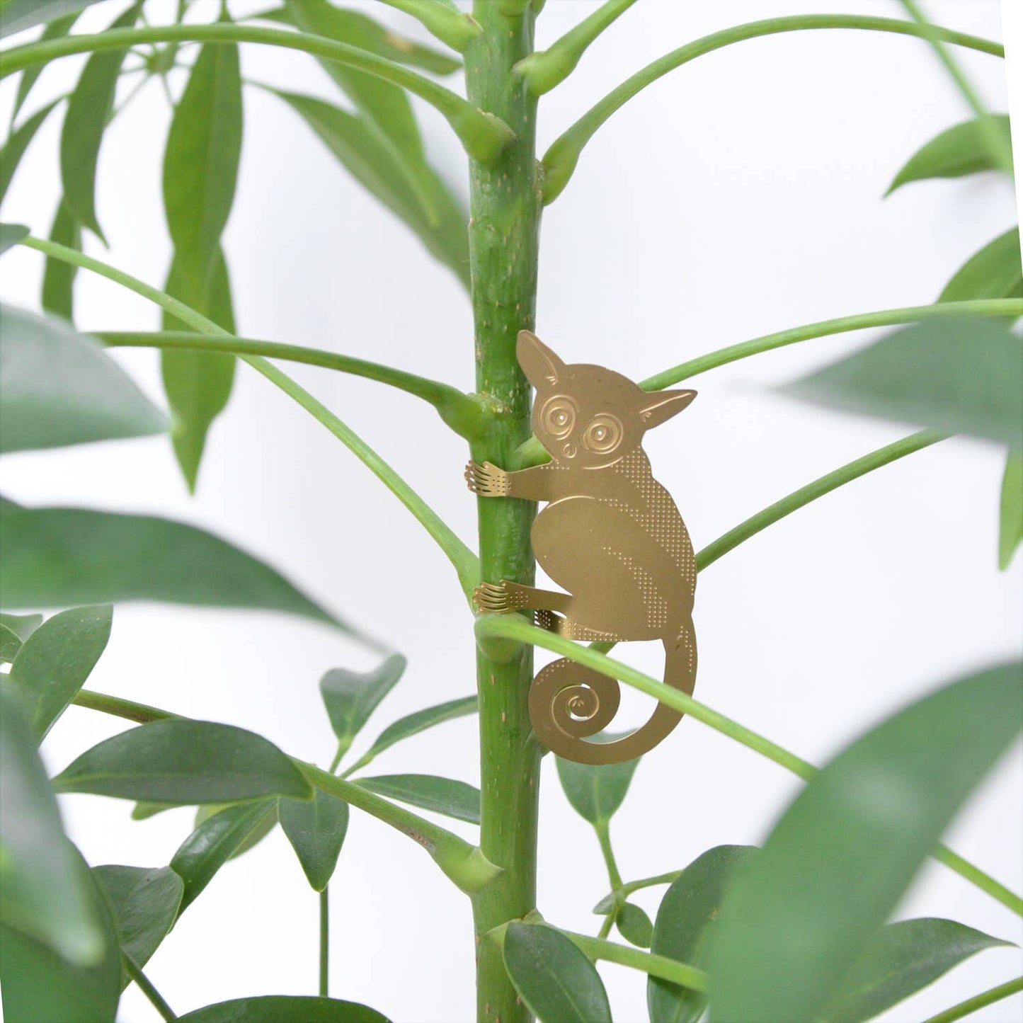 Plant Animal - Bush Baby, Plant Hanger