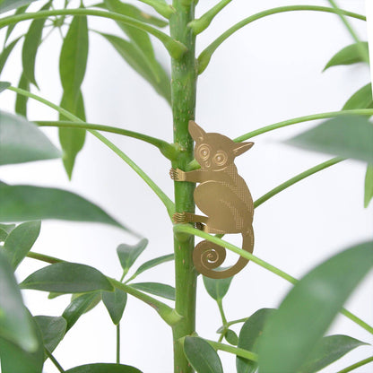 Plant Animal - Bush Baby, Plant Hanger