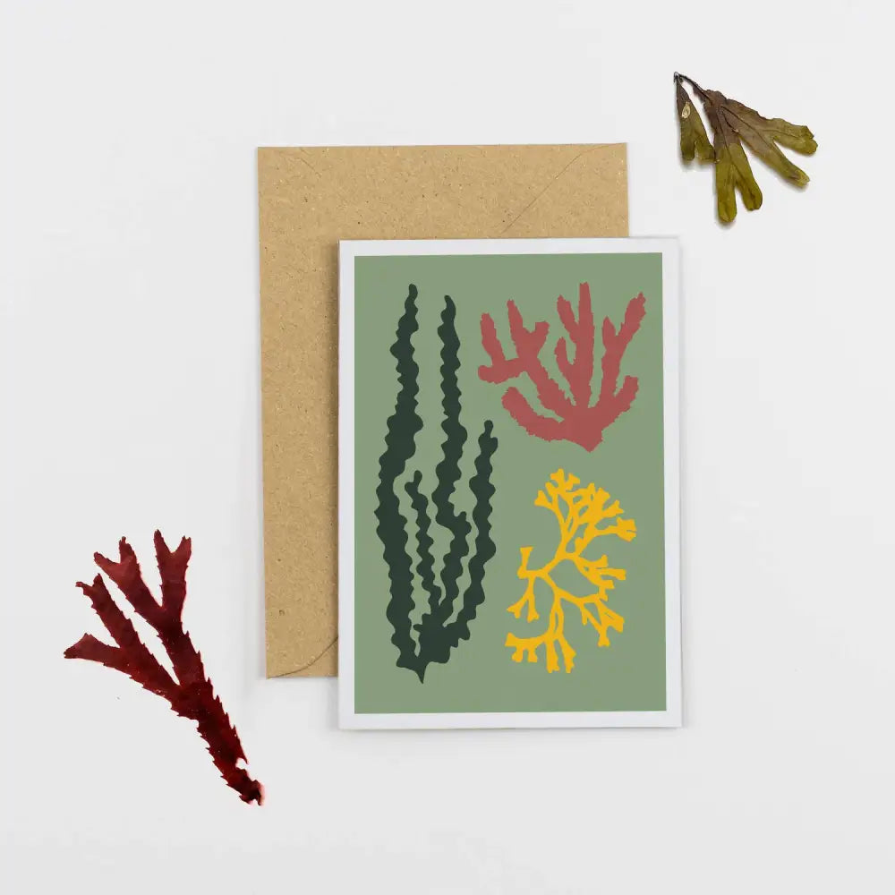 Studio Wald - UK Made - All Occasions A6 Card- Seaweed- Green