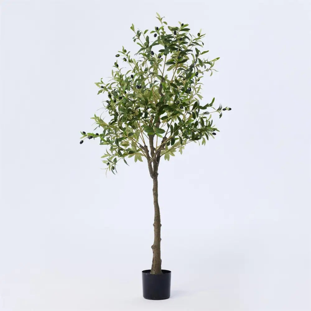 CTG Brands - Artificial Potted Olive Tree 63in.