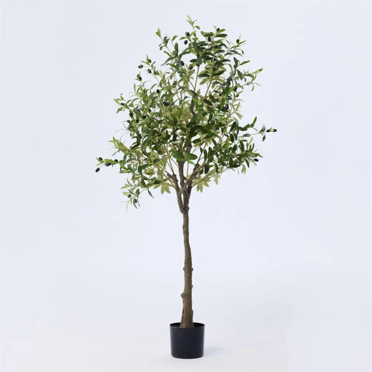 CTG Brands - Artificial Potted Olive Tree 63in.