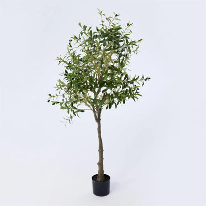 CTG Brands - Artificial Potted Olive Tree 63in.