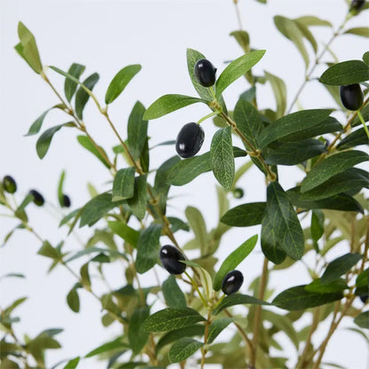CTG Brands - Artificial Potted Olive Tree 63in.