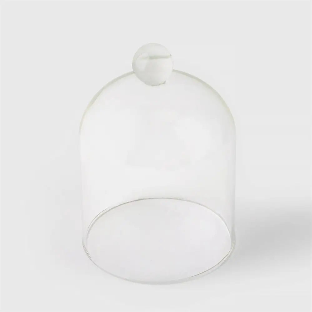 Glass Dome 4.1x5.7" - PABOOM