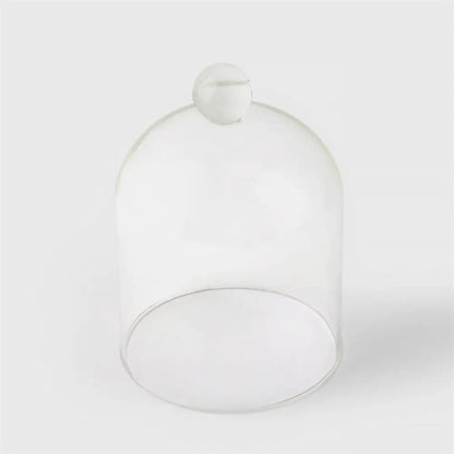 Glass Dome 4.1x5.7" - PABOOM
