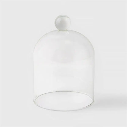 Glass Dome 4.1x5.7" - PABOOM
