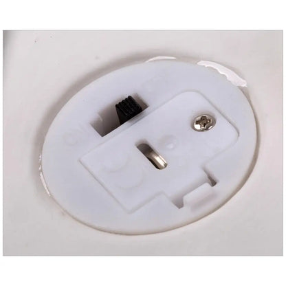 CTG Brands - Porcelain White House. Large
