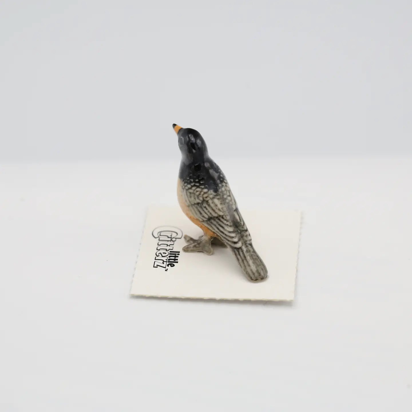 Cheerup American Robin Miniature