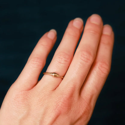 Ouroboros Snake Ring Bronze