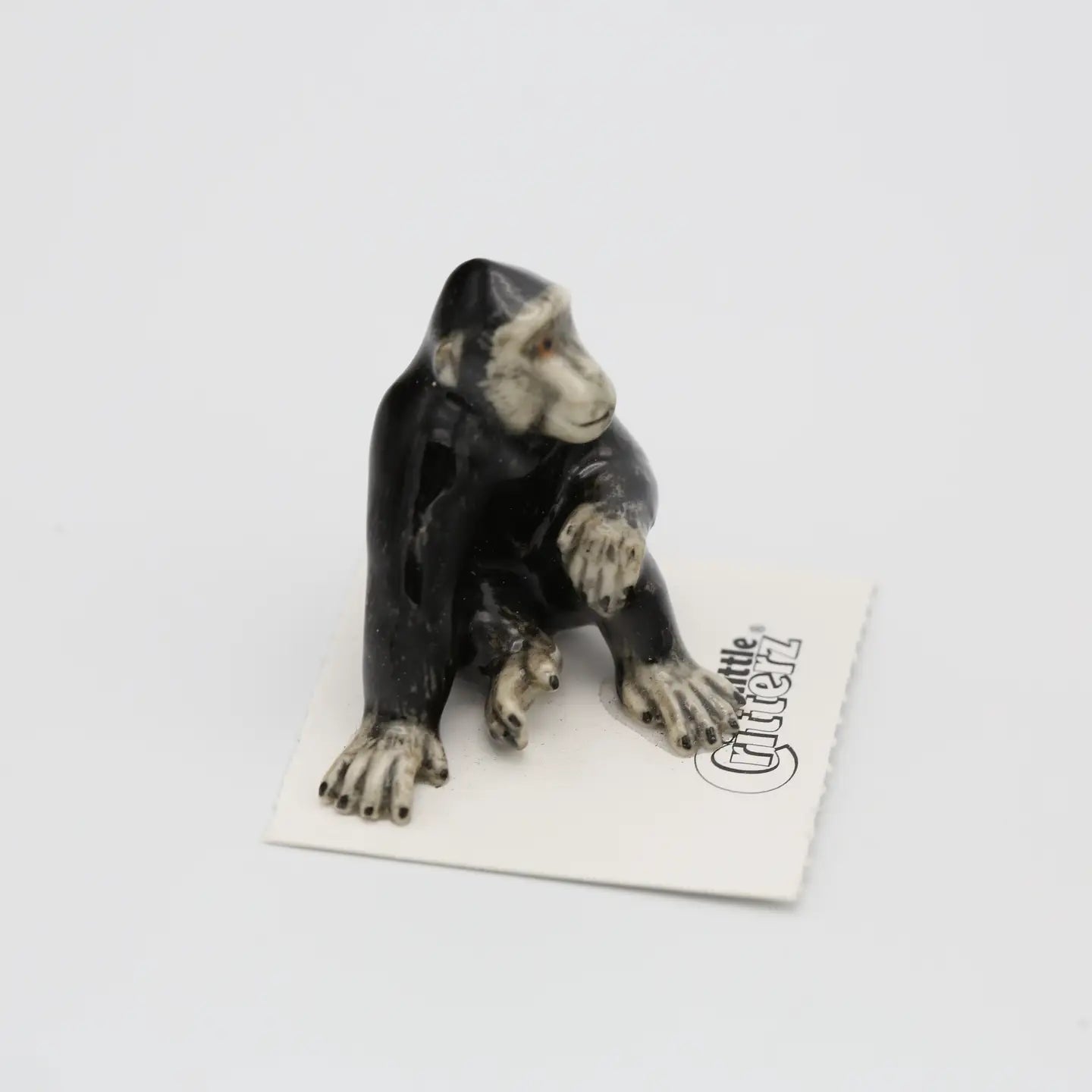 Celebes Crested Macaque Miniature