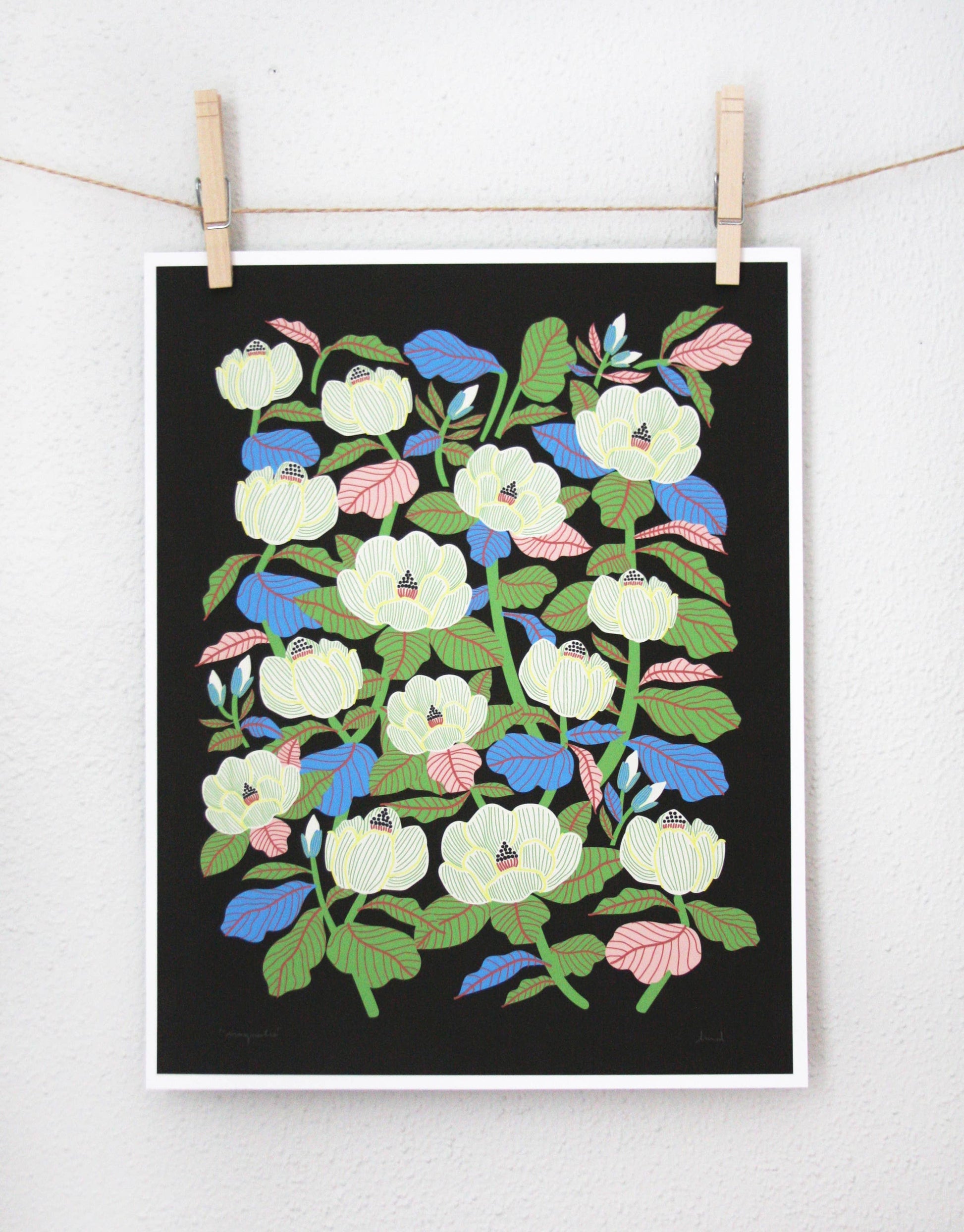 Cream magnolia flowers with blue and pink leaves on a black background, print clipped to a string — PABOOM