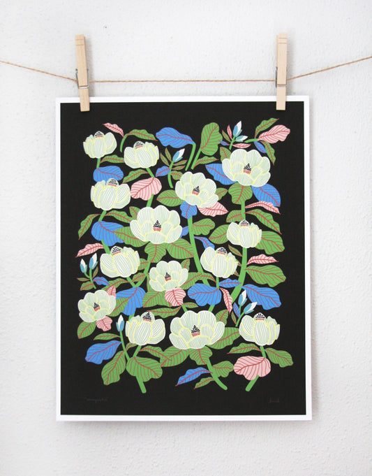 Cream magnolia flowers with blue and pink leaves on a black background, print clipped to a string — PABOOM