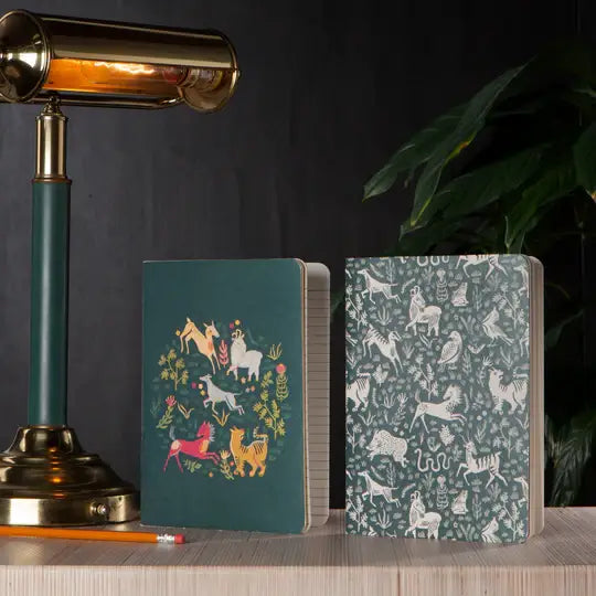 Boundless Notebook Set of 2 - PABOOM