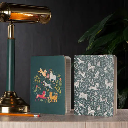 Boundless Notebook Set of 2 - PABOOM