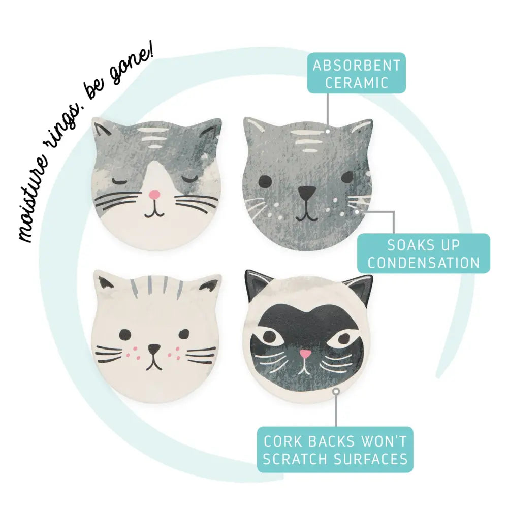 Cats Meow Soak Up Coasters Set - PABOOM