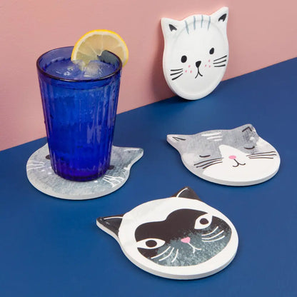 Cats Meow Soak Up Coasters Set - PABOOM