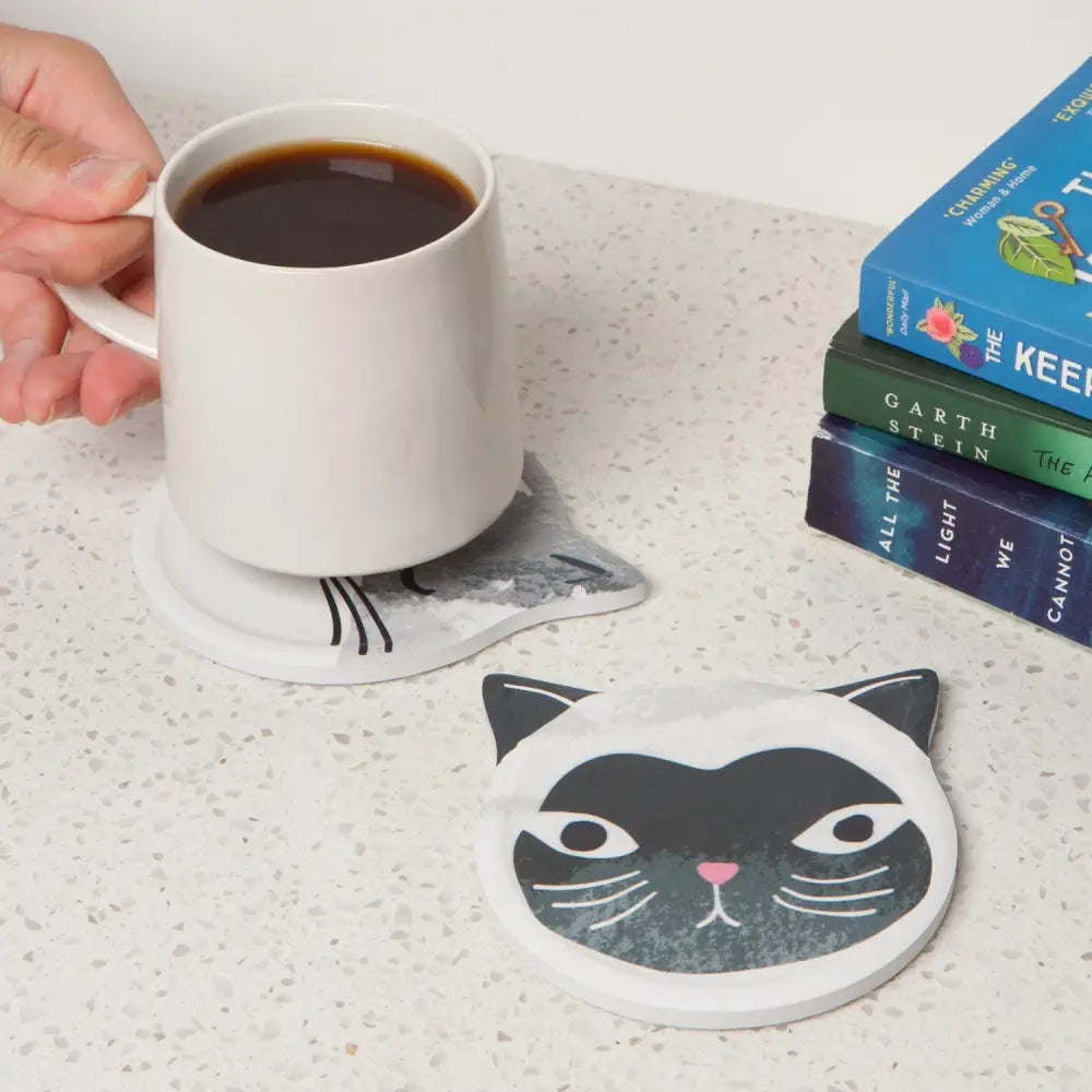 Cats Meow Soak Up Coasters Set - PABOOM