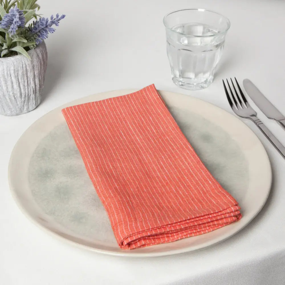 Clay Pinstripe Linen Napkins Set - PABOOM