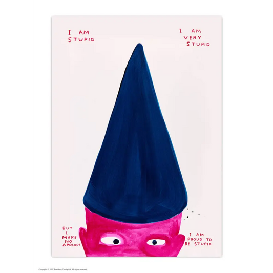 David Shrigley x Brainbox Candy - Funny A6 Art Postcard by - I Am Stupid