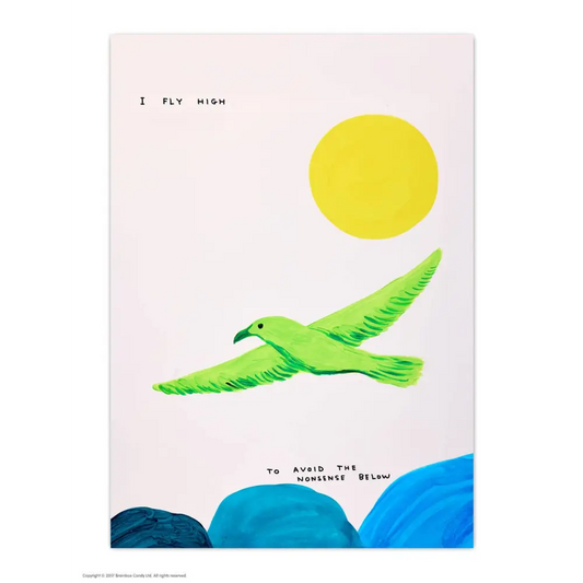 David Shrigley x Brainbox Candy - Funny A6 Art Postcard by - I Fly High