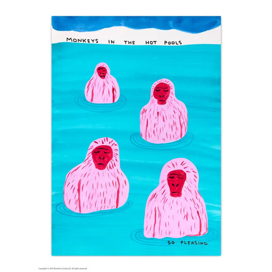 David Shrigley x Brainbox Candy - Funny A6 Art Postcard by - Monkeys In Pool
