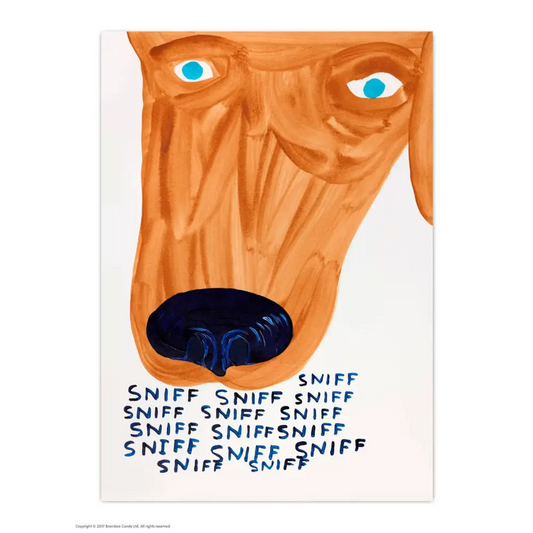 David Shrigley x Brainbox Candy - Funny A6 Art Postcard by - Sniff