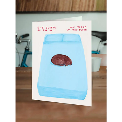 David Shrigley x Brainbox Candy - Funny Greetings Card By - Sleep On The Bed