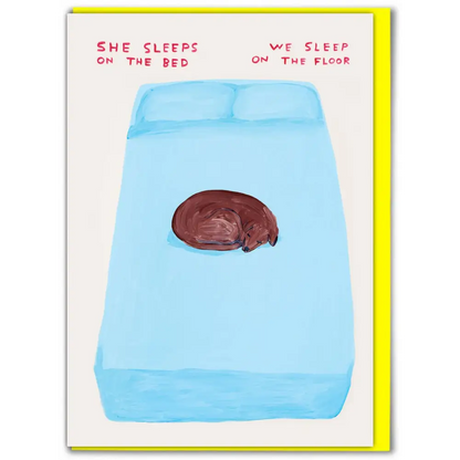 David Shrigley x Brainbox Candy - Funny Greetings Card By - Sleep On The Bed