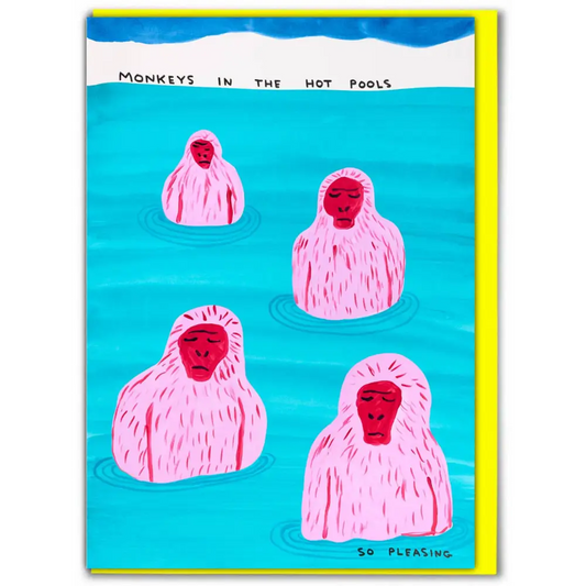 David Shrigley x Brainbox Candy - Funny Greetings Card - Monkeys In Pool