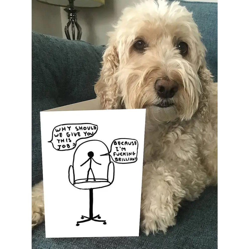 I'm Brilliant Card - PABOOM